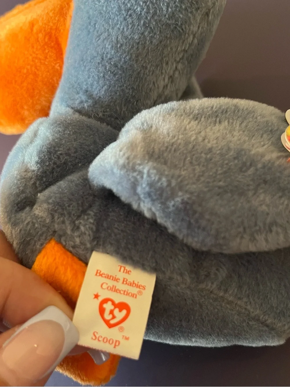 Scoop the Pelican Beanie Baby